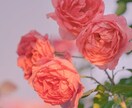 タロットで占います 1人で抱え込んでいませんか?お話聞かせて下さい･:*+. イメージ2