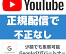 1万円※YouTube動画の再生回数増加させます リアル視聴者の再生回数を3,000回広告を使って増やします イメージ5