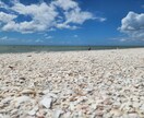アメリカの写真提供します アメリカ国内女一人旅で撮影した写真たち イメージ3