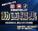 YouTube動画｜ショート動画編集いたします 見る人を惹きつける丁寧な動画編集 イメージ1
