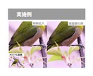 画像の高画質化を行います ボヤけた画像や小さい被写体もクッキリさせます イメージ4