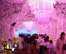 完全オーダーメイドで予算別旅行プラン提案します 行き先・交通・宿泊までまとめて提案｜国内対応 イメージ2