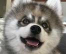 癒し必須！生粋の犬系男子大学生が彼氏になります 仕事や大学で疲れて癒しが欲しいそこのあなたへ！ イメージ1