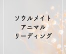 ソウルメイトアニマル前世からの繋がり読み解きます 前世からのペットさんとの繋がり読み解き現世をもっと楽しく！ イメージ1