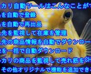 EC関連のご相談をお受けします EC関連のご相談をお受けします。 イメージ1