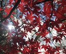 健康管理士が、どんな話でも✨否定せずお聞きします 途中で切っても大丈夫！愚痴、悩み等のストレス発散に！ イメージ9