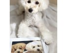 大切なペット写真、お子様の絵をクロスステッチします お気に入りの写真や絵を飾りませんか？プレゼントにも♪ イメージ1