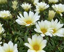 毎日お疲れ様です。愚痴悩み何でも受け止めます 否定せず、とにかく受け止めます。なんでも話してください。 イメージ2