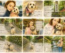 ペットとの思い出を物語絵本にします 世界に一つのうちの子ストーリー イメージ4