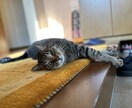 仕事の悩みが少しでも軽くなるようにします 人材関係の仕事で日々悩み相談を受けています。 イメージ1