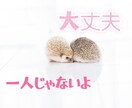 恋のお悩み、一緒に考えます 人を好きになる…その貴方の大切な想いに寄り添わせてください。 イメージ3