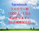 facebookのフォロワー数1000人増やします 安心できるこのお値段。オプション購入でもっとお得に！ イメージ1