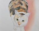 写真からペットイラストを色鉛筆で手描きします 写真とは違う温もりを優しいタッチで、心を込めて制作します イメージ8
