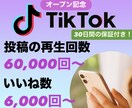 TikTok投稿の再生回数／いいね数増やします ＜＜オープン特典として1万回／1,000いいね追加中！＞＞ イメージ1