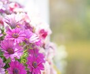 ブログ、SNS用のお花の写真の画像を提供します お花の写真をプラスすることで見る人の心を癒します イメージ8