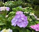 お悩みに寄り添い、エネルギーを繋げて視ていきます 不安や心配になったらいつでも来てください♡ イメージ7