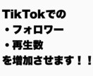 TikTokの再生数増を増やします あなたのTikTokをバズらせよう！！ イメージ1