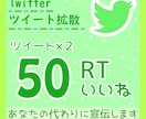 Twitterのツイート×2を50RT拡散します あなたの魅力的なツイートを拡散して宣伝をお手伝いいたします！ イメージ1