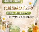 薬剤師が化粧品の成分をわかりやすく解説します 敏感肌・成分重視の方にもわかりやすく解説 イメージ1