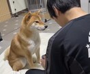 対人関係に悩む人親身に相談乗ります 日本は狭いから直ぐ噂になるよ！ イメージ1