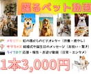 驚きと感動！ペットが喋るサプライズ動画制作します 写真と台本だけ。大切なペットが表情豊かにメッセージを届けます イメージ1