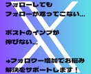 5名限定　Xのフォロワーお値打ちに増やします 実績作りのため、お試し特価でのご提供です! イメージ9
