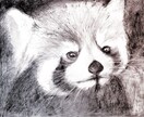 温かみのある鉛筆画でペットさんの絵をお届けします いろいろな動物描けます！記念やプレゼント用に イメージ6