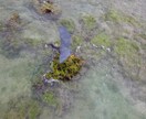 沖縄の海ドローン空撮します 沖縄の青い綺麗な海を撮影します,1080p30〜60fs イメージ10