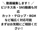 ビジネス系も対応！動画編集します 金額相談が可能です。基本的な動画編集を丁寧に仕上げます。 イメージ1