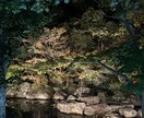 相手の気持ちを鑑定し、難しい恋愛を成就させます 複雑恋愛、難しい恋愛を【霊視・タロット】で鑑定します。 イメージ8
