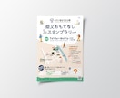 ターゲットや用途に合わせてデザインします キャンペーン/オープン/求人 どんなチラシでも任せて下さい! イメージ4