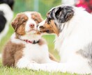 自然体な写真撮影と編集行います ストロボを使わない自然な撮影を得意分野としてます イメージ5