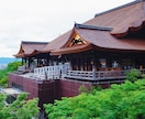 京都周辺の撮影代行を行いますます 神社仏閣など現地に行って撮影します イメージ2