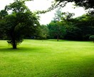 複雑なお悩みを占います 時間をかけてご質問をお聞きしながら占います イメージ1