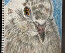 野生動物の救助や保護活動に英語翻訳で協力します 地球温暖化、海洋汚染防止、野生動物保護活動に寄付します！ イメージ7