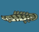 可愛い生き物のイラストを描きます オリジナルの生き物で癒されよう！ イメージ3