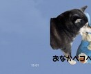 ペットなどの写真でLINEスタンプ作成します 16個で1500円！友人の誕生日などにおすすめ！ イメージ1