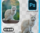 写真や画像の切り抜きいたします 商品出品や画像加工に便利な画像切り抜き加工を迅速に行います イメージ3