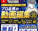 YouTube動画編集します ⭐︎プラチナランク⭐︎お気に入り登録の方は1,000円割引！ イメージ1