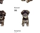 愛犬・猫のオリジナルTシャツをつくります 世界に一つだけのうちの子Tシャツ♪ イメージ5