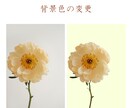 画像加工・文字入れ対応いたします SNS投稿用写真などご相談ください！ イメージ2