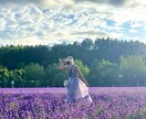 ENTPの私が人間関係の悩み、解決します 何でも聞きます。フラットな意見が出せます。 イメージ4