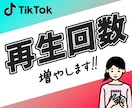 TikTokの再生を増加｜宣伝・拡散します リアルユーザー再生 |再生が1,000回増加するまで拡散！ イメージ1