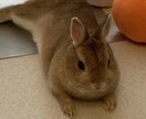 何でも話し聞きます 人生経験が豊富なので、何でも大丈夫です。 イメージ1