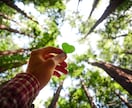 精密鑑定✴︎あの人のトリセツ教えます あの人ってどんな人？彼氏彼女上司義母等のプロファイル⭐️ イメージ10