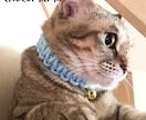 愛猫ちゃん用の首輪お作りします オリジナルの首輪で愛猫ちゃんの首元をオシャレに♪ イメージ3