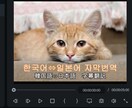 YouTubeに日⇄韓翻訳つけます 動画編集ソフトを使い字幕翻訳致します。 イメージ1