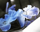 ペットロスのあなたの気持ちに寄り添います 1分でもOK◎周りに気を遣ってしまってうあなたに。 イメージ1