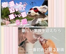 パッと目を引くYouTubeサムネイルを制作します YouTuber必見！修正無制限！注目されるサムネイル！ イメージ3