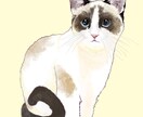 ペットイラストのオーダー受付けます おもしろオーダーもお客様の要望通りにペットイラスト受け付け イメージ2